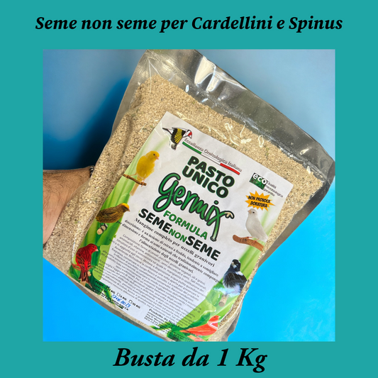 Seme non Seme Germix per Cardellini e Spinus, busta da 1 Kg (Mangime completo per Cardellini e Spinus)